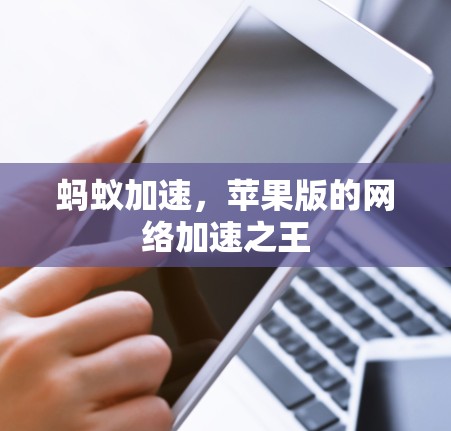 蚂蚁加速，苹果版的网络加速之王