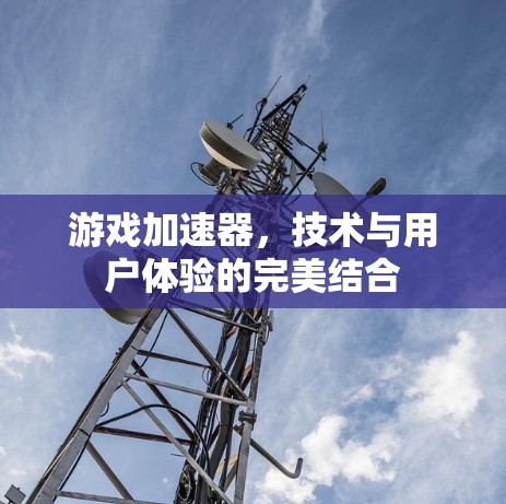 游戏加速器，技术与用户体验的完美结合