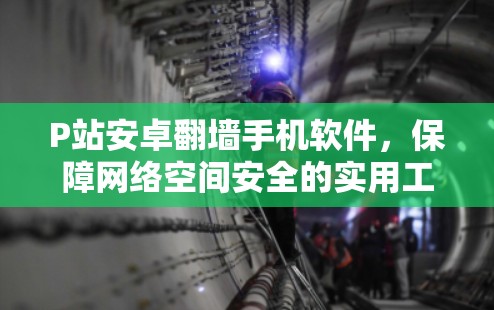 P站安卓翻墙手机软件，保障网络空间安全的实用工具