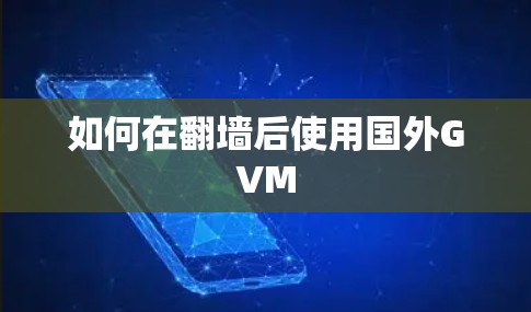 如何在翻墙后使用国外GVM
