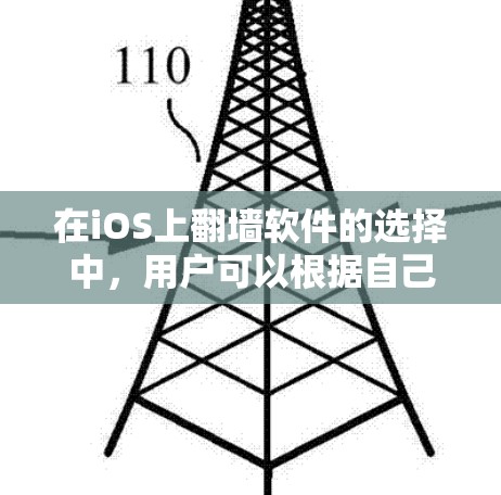 在iOS上翻墙软件的选择中，用户可以根据自己的需求和网络环境选择最适合的工具。以下是一些推荐的翻墙软件及其优缺点
