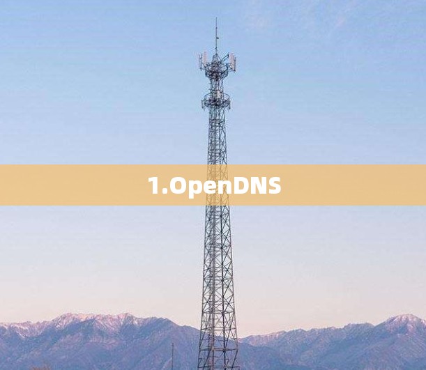 1.OpenDNS 1.OpenDNS