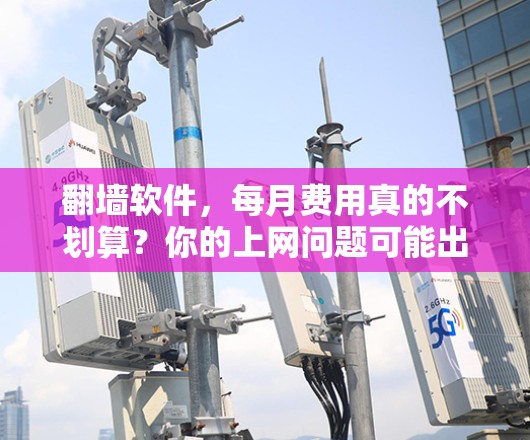 翻墙软件,每月费用真的不划算?你的上网问题可能出在这儿! 翻墙软件,每月费用真的不划算?你的上网问题可能出在这儿!