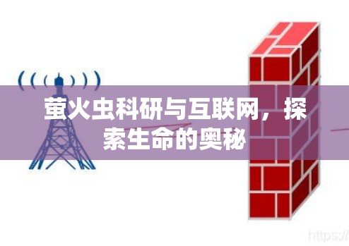 萤火虫科研与互联网,探索生命的奥秘 萤火虫科研与互联网,探索生命的奥秘