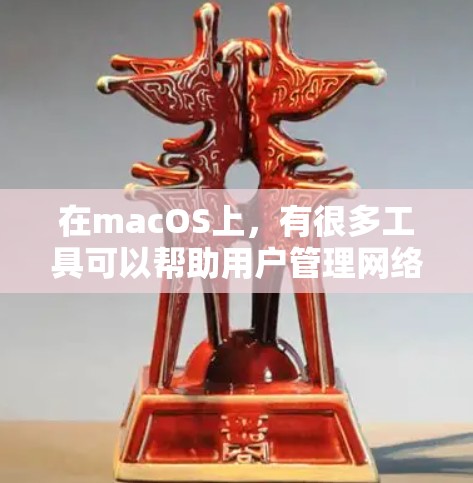 在macOS上，有很多工具可以帮助用户管理网络和资源。以下是几种常见的科学上网工具和它们的功能