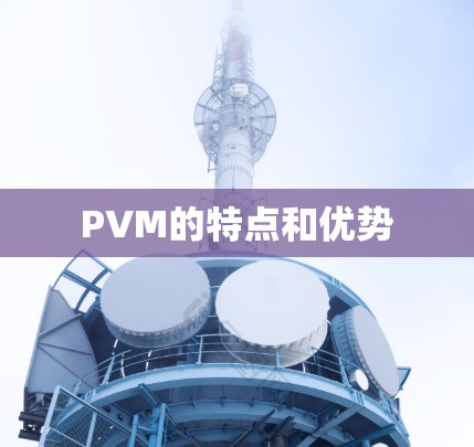 PVM的特点和优势 PVM的特点和优势