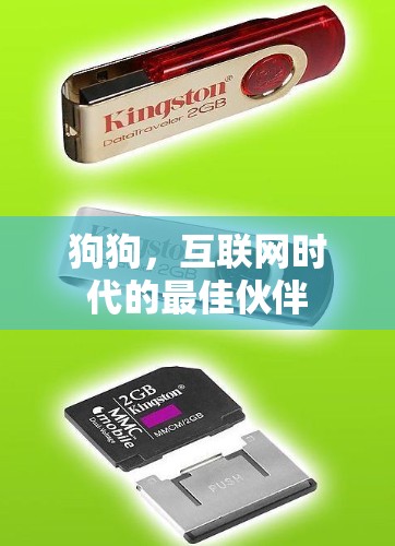 狗狗,互联网时代的最佳伙伴 狗狗,互联网时代的最佳伙伴