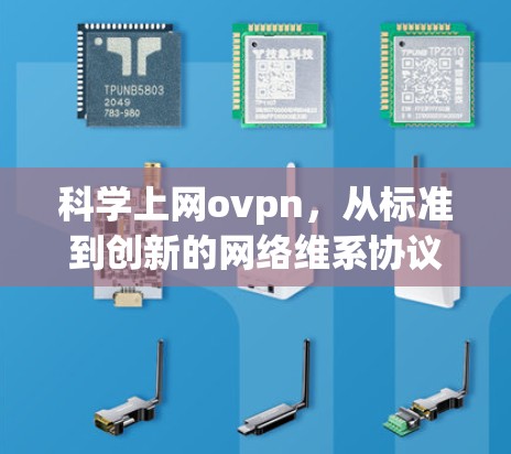 科学上网ovpn,从标准到创新的网络维系协议 科学上网ovpn,从标准到创新的网络维系协议