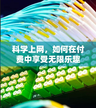 科学上网,如何在付费中享受无限乐趣 科学上网,如何在付费中享受无限乐趣