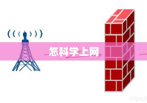 怎科学上网 怎科学上网