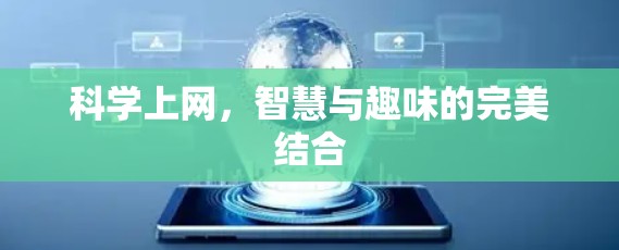 科学上网，智慧与趣味的完美结合