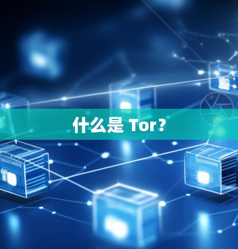 什么是 Tor? 什么是 Tor?
