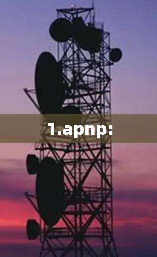 1.apnp: 1.apnp: