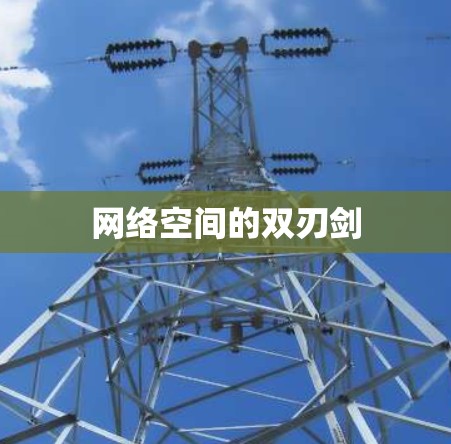 网络空间的双刃剑 网络空间的双刃剑