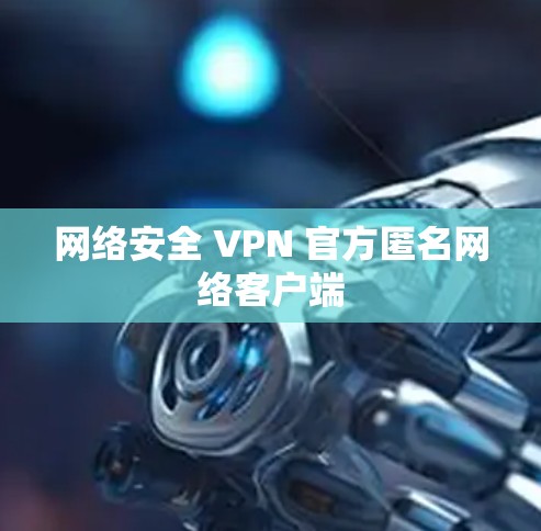 网络安全 VPN 官方匿名网络客户端