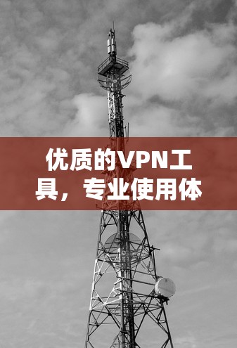 优质的VPN工具，专业使用体验