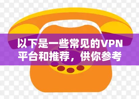 以下是一些常见的VPN平台和推荐，供你参考
