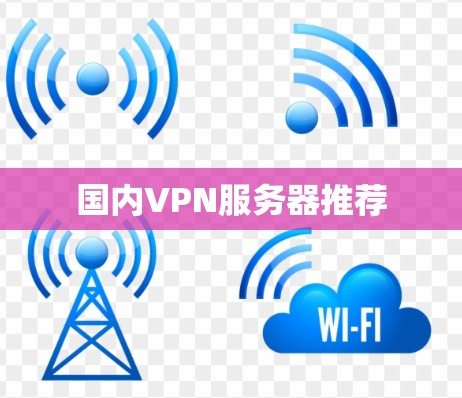 国内VPN服务器推荐 国内VPN服务器推荐