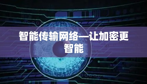 智能传输网络—让加密更智能 智能传输网络—让加密更智能