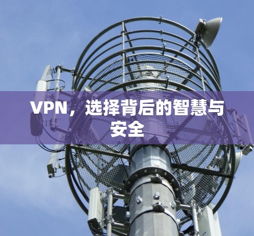 VPN,选择背后的智慧与安全 VPN,选择背后的智慧与安全
