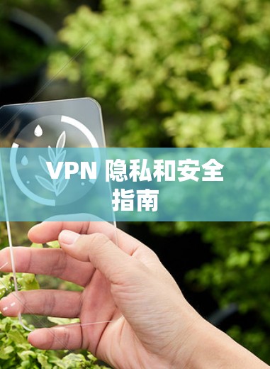 VPN 隐私和安全指南 VPN 隐私和安全指南