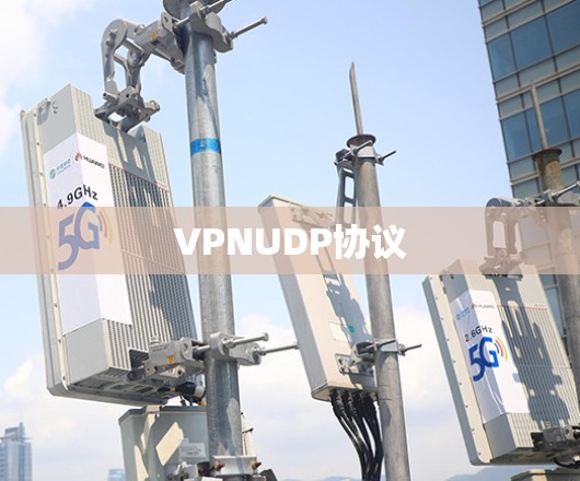 VPNUDP协议 VPNUDP协议