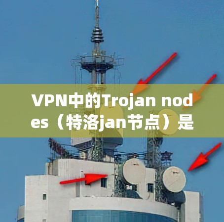 VPN中的Trojan nodes（特洛jan节点）是指用于攻击和窃取网络资源、数据和用户账户的网络攻击手段。这些节点通常通过各种方式试图侵入用户账户，窃取敏感信息，比如密码、加密数据或通信内容