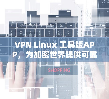 VPN Linux 工具版APP，为加密世界提供可靠连接