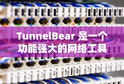 TunnelBear 是一个功能强大的网络工具，适合进行网络连接测试、脚本脚本处理和远程文件操作。以下是使用 TunnelBear 的详细指南