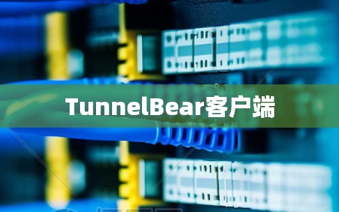 TunnelBear客户端