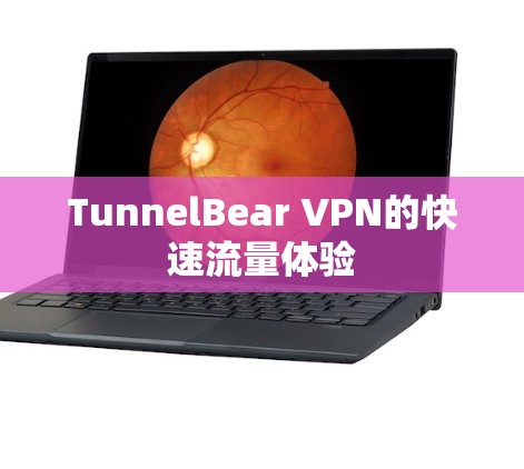 TunnelBear VPN的快速流量体验 TunnelBear VPN的快速流量体验