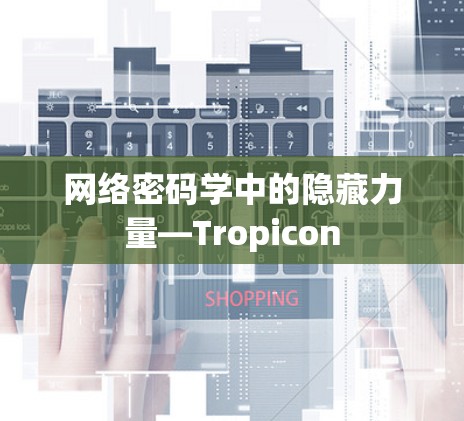 网络密码学中的隐藏力量—Tropicon