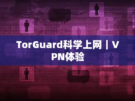 TorGuard科学上网｜VPN体验