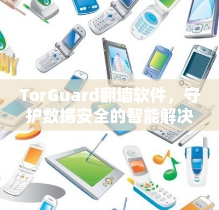 TorGuard翻墙软件,守护数据安全的智能解决方案 TorGuard翻墙软件,守护数据安全的智能解决方案