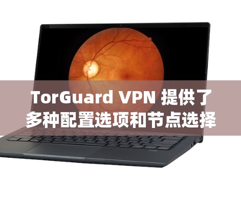 TorGuard VPN 提供了多种配置选项和节点选择，包括免费版、Pro版和 paid版，适合不同需求的用户。以下是详细的分析