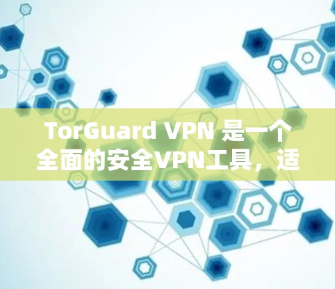 TorGuard VPN 是一个全面的安全VPN工具，适合需要多层加密和多种保护措施的用户。以下是其关键评估