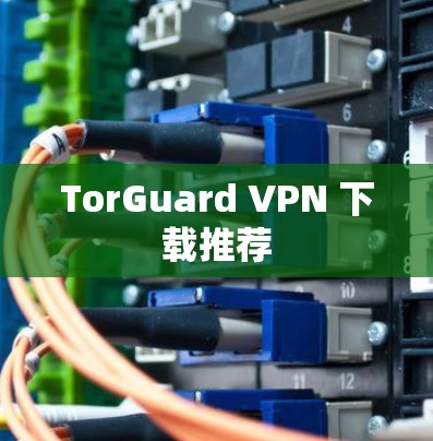 TorGuard VPN 下载推荐 TorGuard VPN 下载推荐