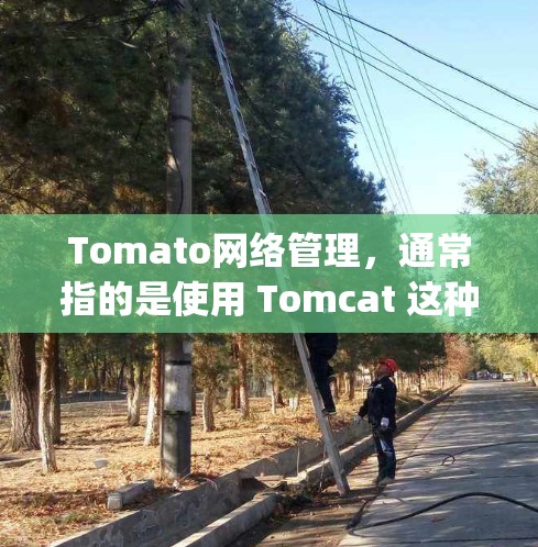 Tomato网络管理，通常指的是使用 Tomcat 这种工具来管理网络服务（如服务器、缓存服务、数据库服务等）Tomcat 是 Apache Tomcat 的核心，用于提供网络服务的配置和管理