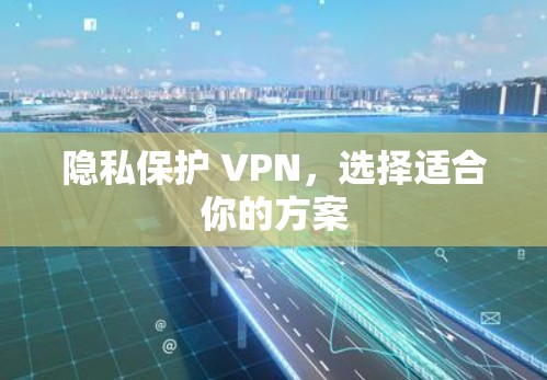 隐私保护 VPN，选择适合你的方案