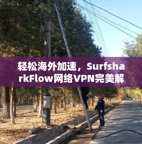 轻松海外加速,SurfsharkFlow网络VPN完美解决方案 轻松海外加速,SurfsharkFlow网络VPN完美解决方案