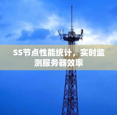 SS节点性能统计,实时监测服务器效率 SS节点性能统计,实时监测服务器效率