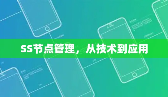 SS节点管理，从技术到应用