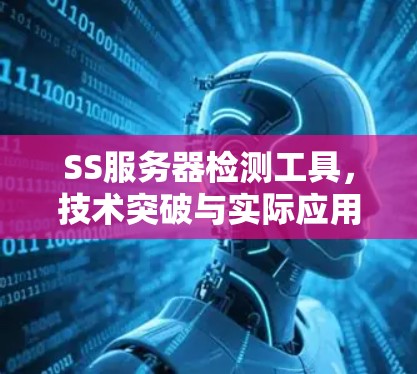 SS服务器检测工具，技术突破与实际应用