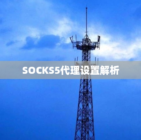 SOCKS5代理设置解析