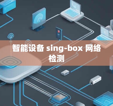 智能设备 sing-box 网络检测 智能设备 sing-box 网络检测