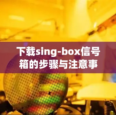 下载sing-box信号箱的步骤与注意事项