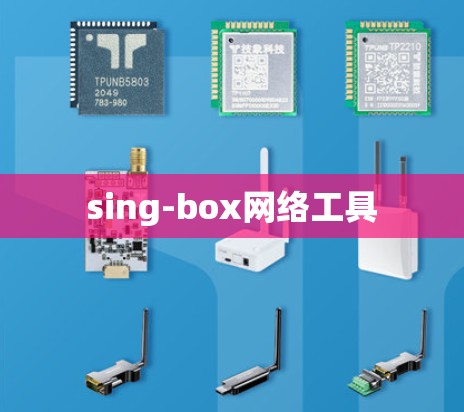 sing-box网络工具