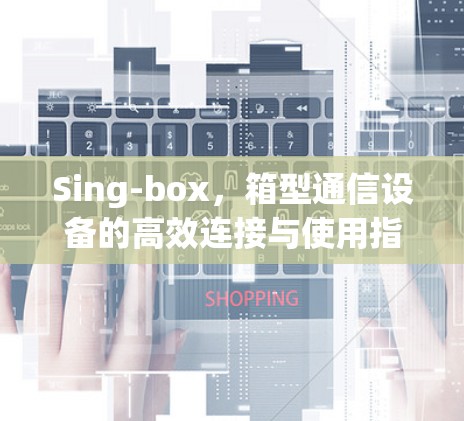 Sing-box，箱型通信设备的高效连接与使用指南