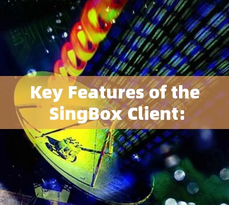 Key Features of the SingBox Client: Key Features of the SingBox Client:
