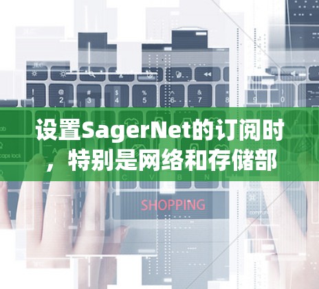 设置SagerNet的订阅时，特别是网络和存储部分，需要仔细考虑网络和存储带宽的分配。以下是对这些部分的详细步骤指南